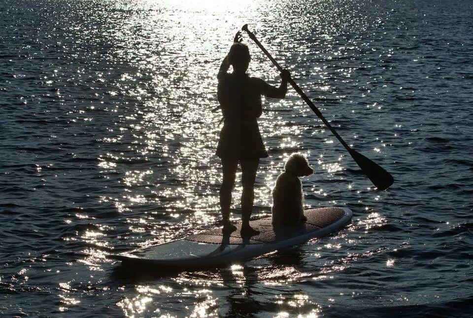 Little Hawk Resort & Marina Algonquin Highlands Buitenkant foto