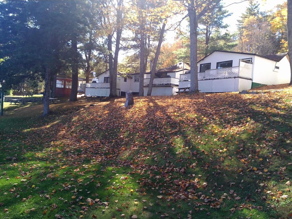 Little Hawk Resort & Marina Algonquin Highlands Buitenkant foto